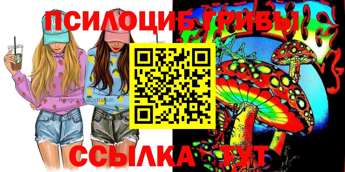 Тайшет  Псилоцибиновые грибы MAGIC MUSHROOMS  Вход с VPN 